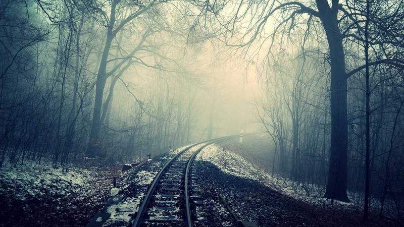Family visa paperwork on a desk with a cup of coffee