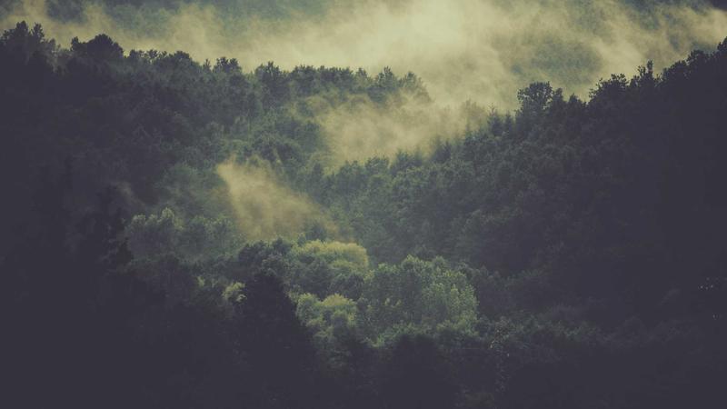 Hands shaking over a legal document