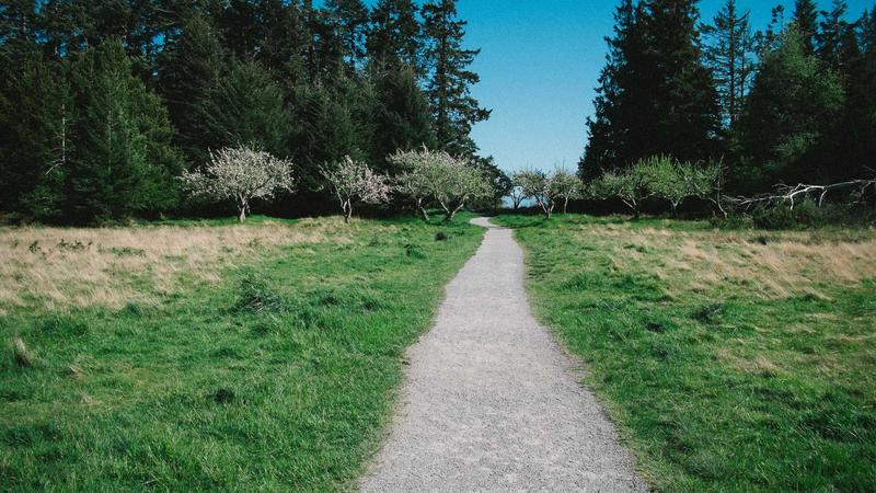 Person consulting with personal injury lawyer