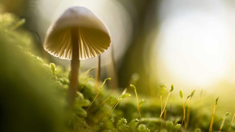 Person reviewing legal documents