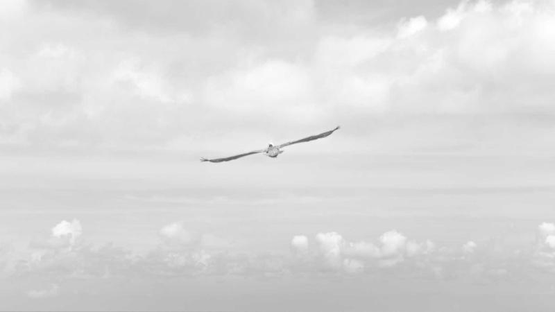 Close-up on hands signing prenuptial agreement document