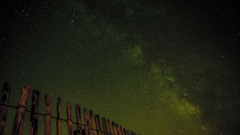 Physical therapy session in progress