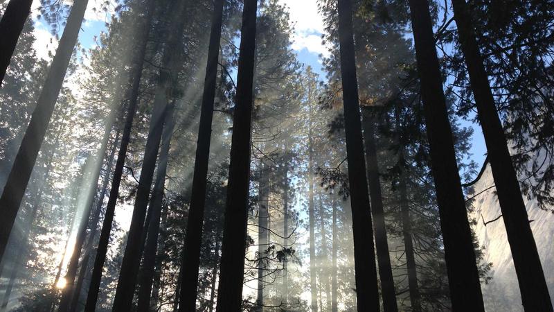 Couple with lawyers in courtroom setting
