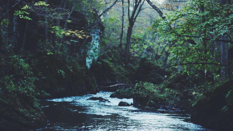 Legal chess pieces on a board