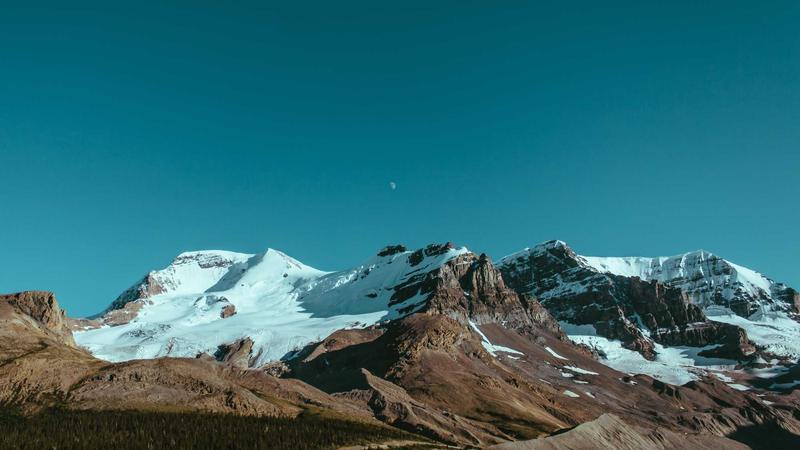 Comparison of different special needs trust options