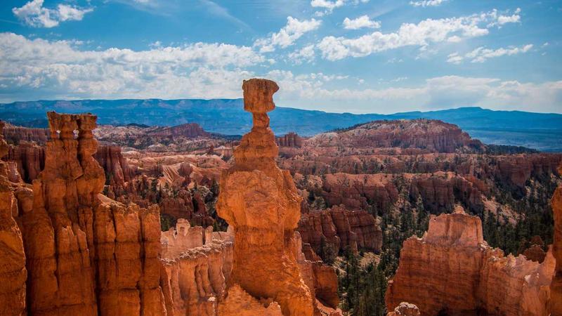 Worker injured on the job with paperwork