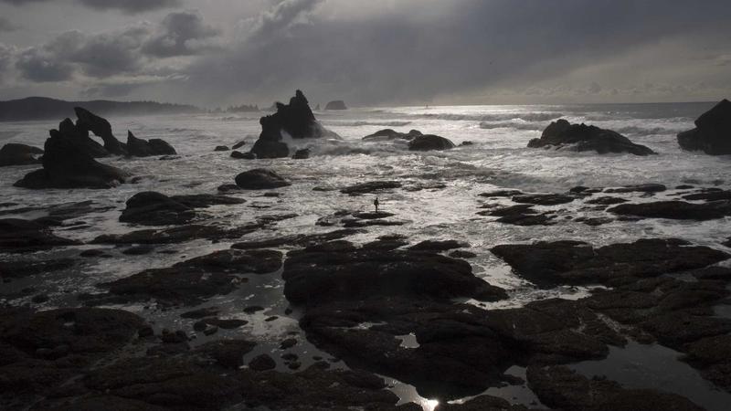 AI and human legal team reviewing documents together