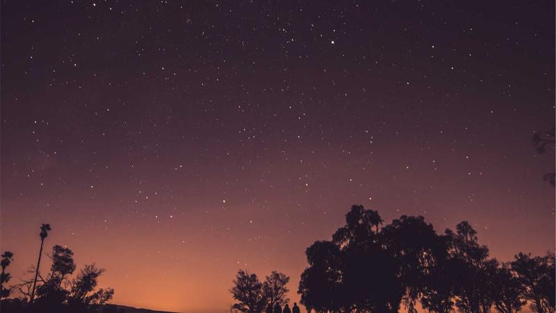 Person comparing legal documents on laptop and paper