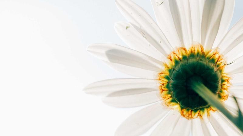 Person chatting online with a lawyer during document review