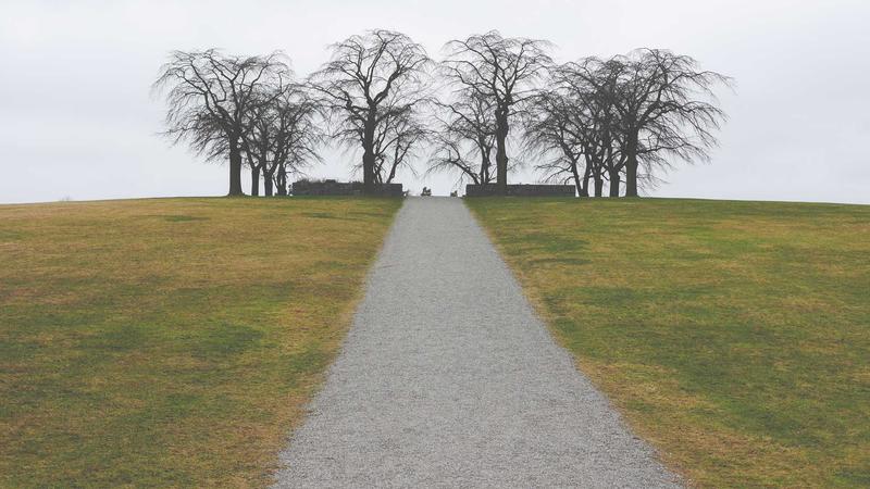 Family law consultation between lawyer and client