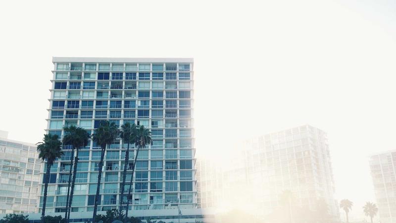 Entrepreneur consulting with online legal expert