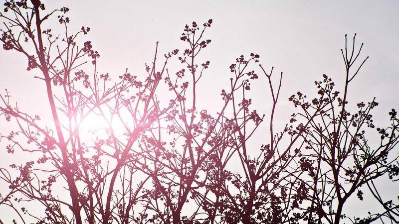 Small business owner feeling confident after legal consultation