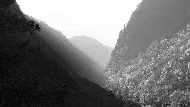 Business team discussing contract in office meeting