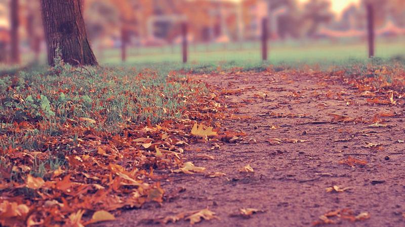 Organized legal documents with notes