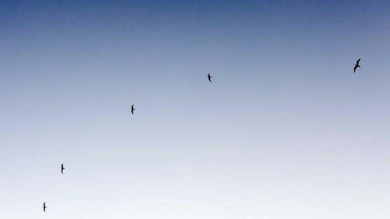 Documenting accident scene with photos