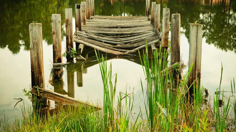 Person reviewing legal documents with a laptop