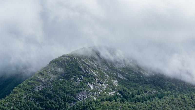 Happy business owner celebrating LLC formation