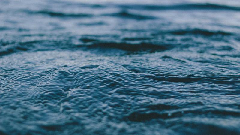 Person using a laptop to work on legal documents