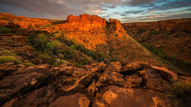 Contract lawyer reviewing legal documents
