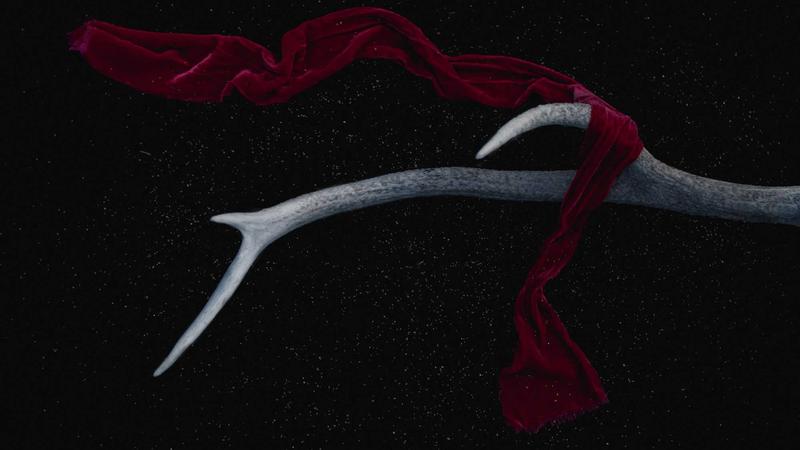 Person consulting a lawyer about injury claims