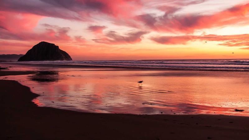Legal paperwork and calculator on desk