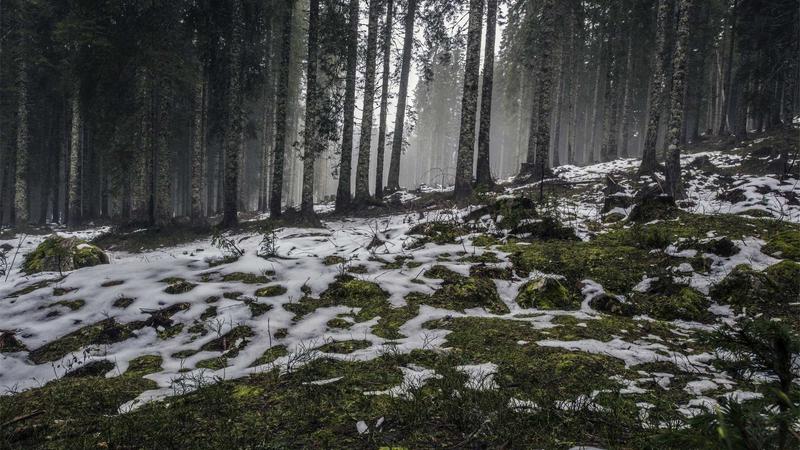 Millennial planning estate on laptop