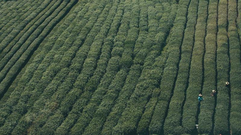 Person using a laptop with legal documents on screen