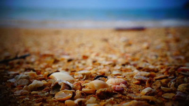 Cup of coffee on a legal paperwork