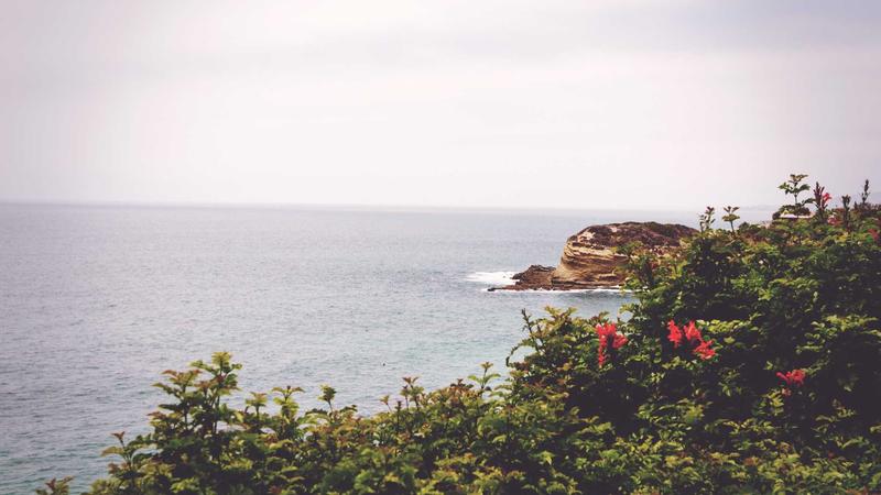 Checklist comparing wills and trusts