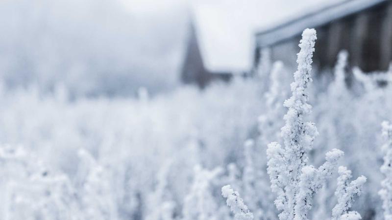 Person relaxed with tablet, finalizing divorce documents