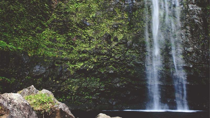 Client consultation with family law attorney